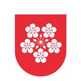 Lier kommunes støtteordninger