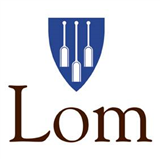 Lom kommunes støtteordninger
