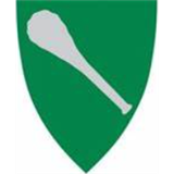 Sør-Fron kommunes støtteordninger