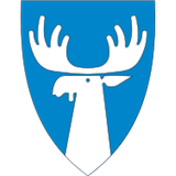 Tynset kommunes støtteordninger