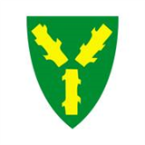 Nes kommunes støtteordninger