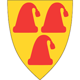 Nissedal kommunes støtteordninger