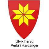 Ulvik kommunes støtteordninger